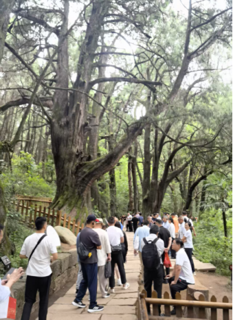 1.巴蜀文化暨乡村振兴研学营在四川举办102