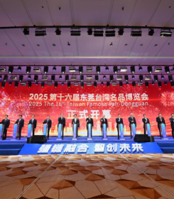 2025东莞台博会开幕 展览规模创历届新高