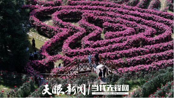再续“黔台会”之约！共拓两岸经贸发展新空间（09.15）1328