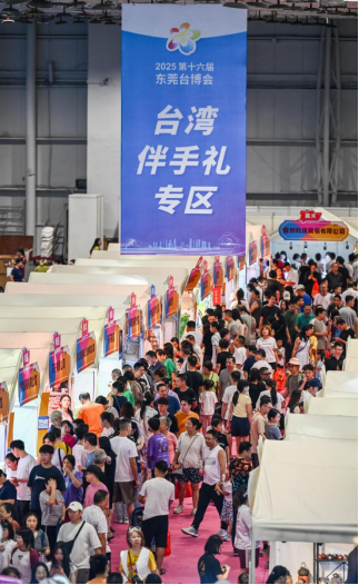 2025第十六届台博会闭幕186