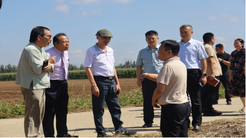 2025乡村振兴学术研讨地暨休闲农业项目洽谈活动9.10417
