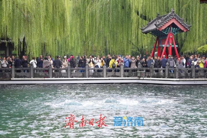 半个月涨了1米,济南趵突泉水位再创新高651 半个月涨了1米,济南趵突泉水位再创新高651