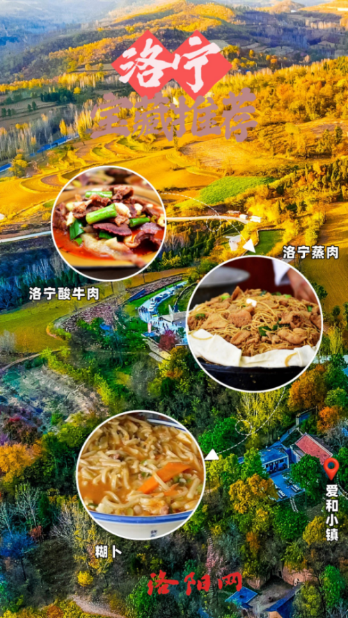 10月牡丹洛阳网站更新4183