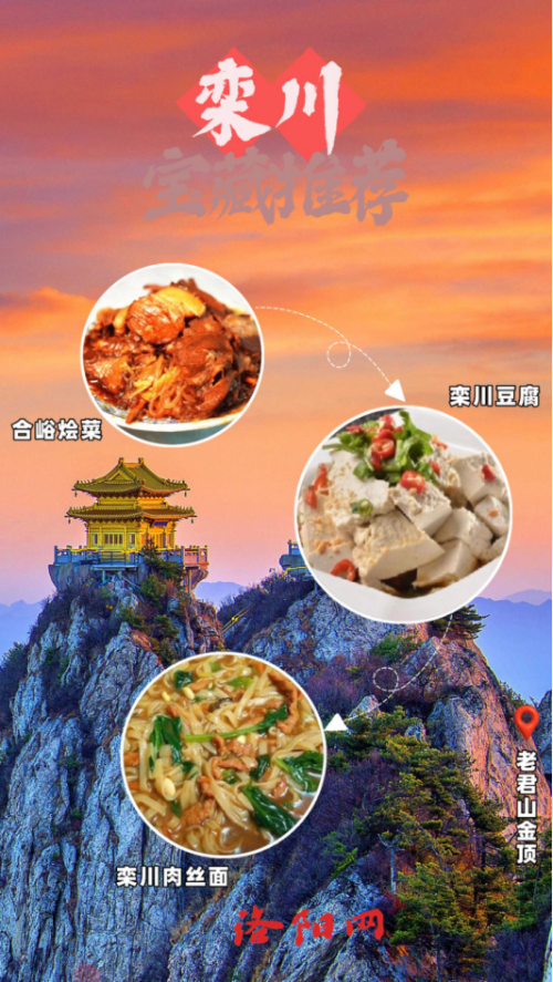 10月牡丹洛阳网站更新4185