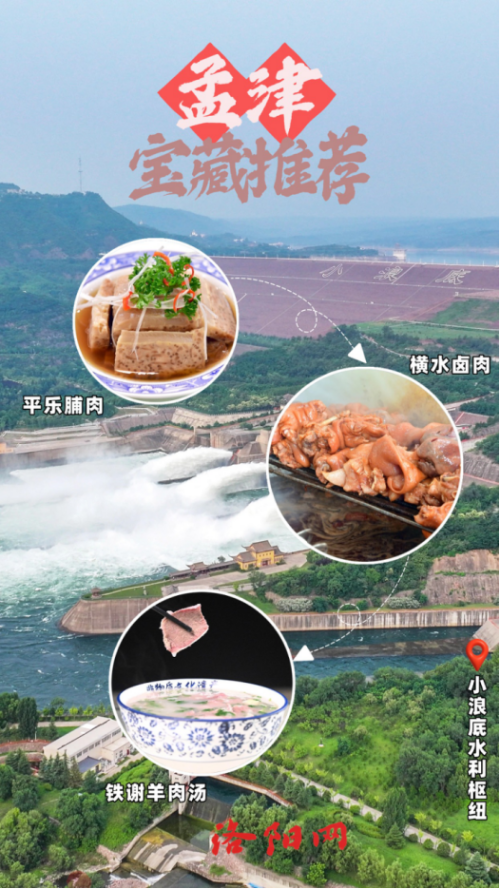 10月牡丹洛阳网站更新4187