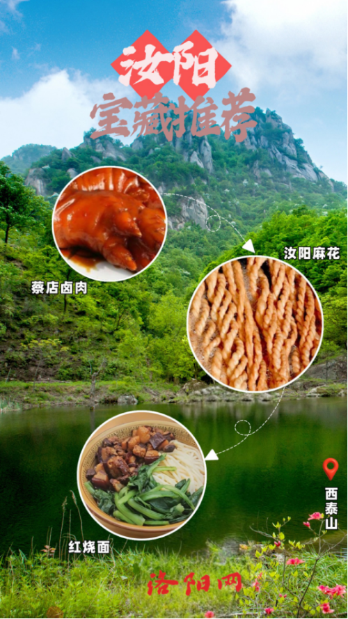 10月牡丹洛阳网站更新4189