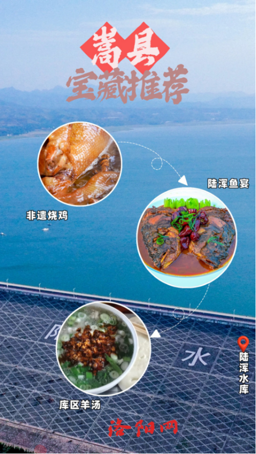 10月牡丹洛阳网站更新4191