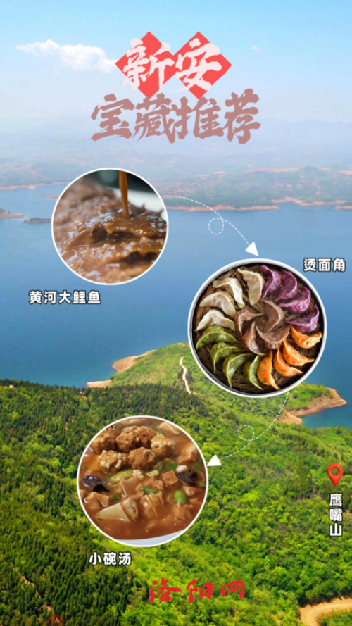 10月牡丹洛阳网站更新4193