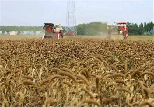 河南要闻25.10.242824