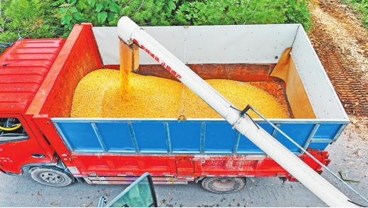 河南要闻25.10.242991