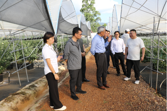 2025年省级单位定点帮扶墨江县第2次联席会议召开——省委台办新闻稿891 2025年省级单位定点帮扶墨江县第2次联席会议召开——省委台办新闻稿891