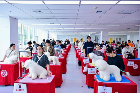 新闻通稿-宠物美容护理技能比赛举行20251023458 新闻通稿-宠物美容护理技能比赛举行20251023458
