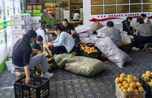台胞热心助农  真情温暖两岸15 台胞热心助农  真情温暖两岸15