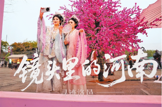 河南要闻25.10.305895