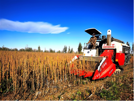 河南要闻25.10.308018