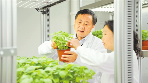 河南要闻25.10.309061