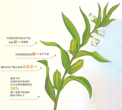 河南要闻25.10.3010192