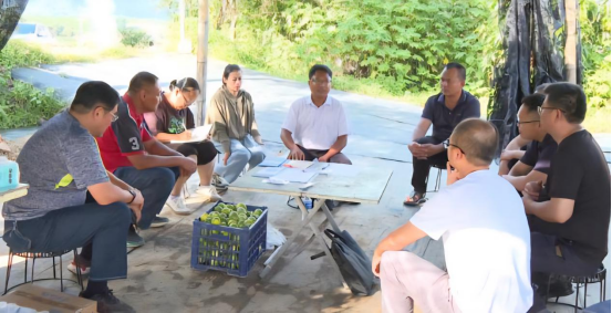 临沧市开展台湾光复80周年纪念日活动368 临沧市开展台湾光复80周年纪念日活动368