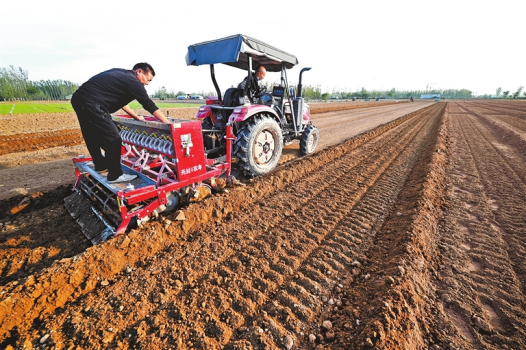 河南要闻25.11.036126 河南要闻25.11.036126