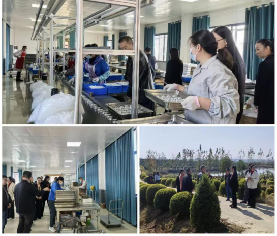 商城县台办组织台侨届代表人士观摩产业发展 共绘乡村振兴新画卷118