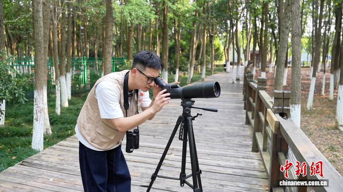 许开展在南昌艾溪湖湿地公园进行候鸟观察监测。吴思瑜 摄