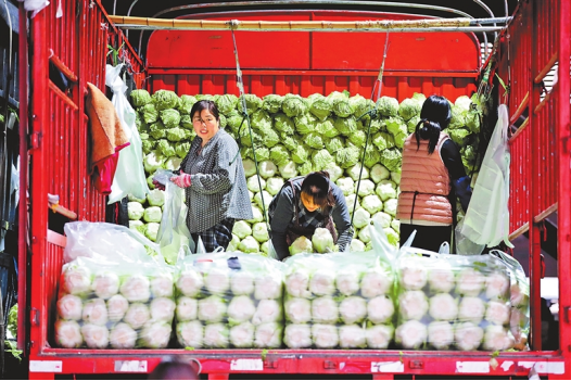 河南要闻25.11.133104