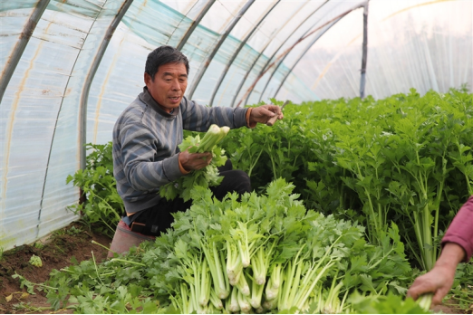 河南要闻25.11.133747