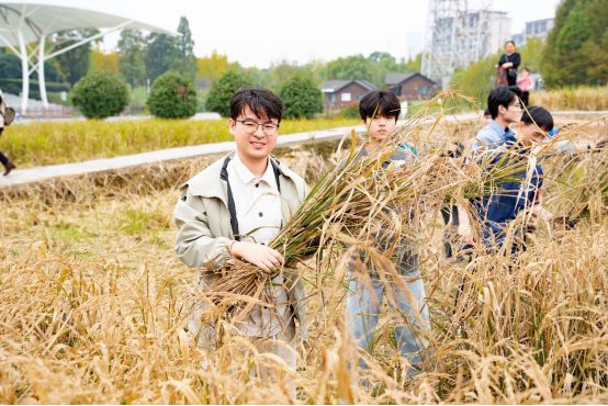 同耘青春田+共叙同心饭351 同耘青春田+共叙同心饭351