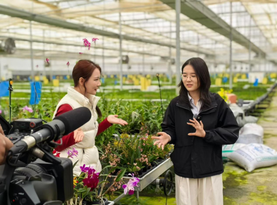 4.花开两岸 情满凉山台湾《大陆寻奇》节目组探寻彝乡新貌367 4.花开两岸 情满凉山台湾《大陆寻奇》节目组探寻彝乡新貌367