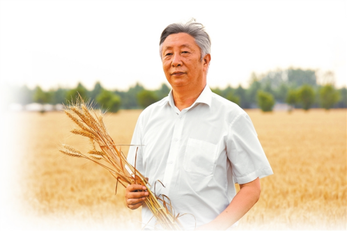 河南要闻25.11.171878 河南要闻25.11.171878