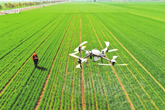 河南要闻25.11.201926 河南要闻25.11.201926