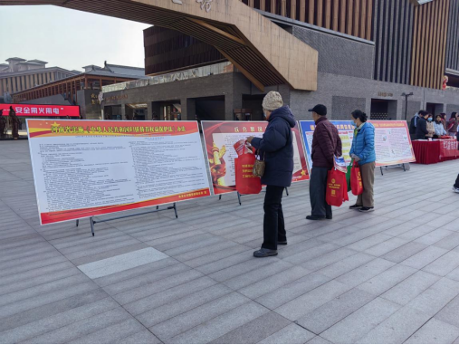 20251204洛龙区台办开展“国家宪法日”普法宣传活动300