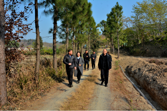 省台办副主任徐竞深入驻点村走访调研乡村振兴工作30 省台办副主任徐竞深入驻点村走访调研乡村振兴工作30