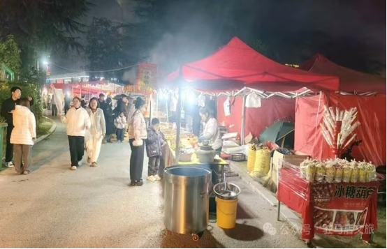 寻根故里忆乡愁   共赏庙会话团圆107