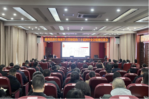 郧西县召开涉台领域学习贯彻党的二十届四中全会精神宣讲会119