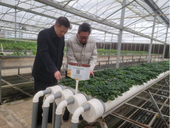 鄂州市台办走访调研台资企业 (2)130 鄂州市台办走访调研台资企业 (2)130