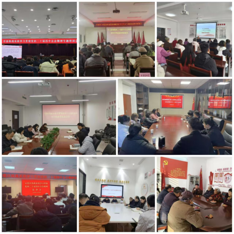 学习二十届四中全会精神81