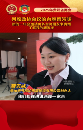 2025年贵州省对台工作十大亮点（1230）648