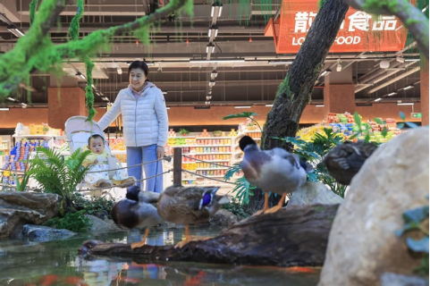 河南要闻26.01.063363