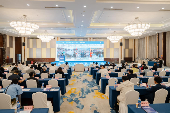 2025年“服务年”活动综述 (2)864 2025年“服务年”活动综述 (2)864