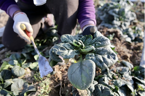 河南要闻26.01.154857 河南要闻26.01.154857