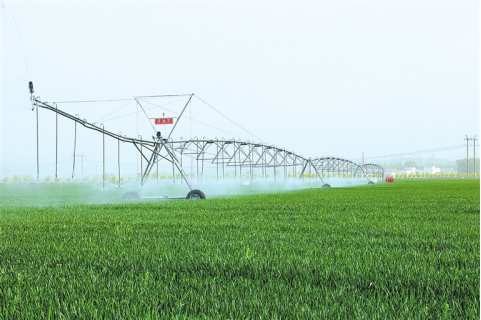 河南要闻26.01.158709 河南要闻26.01.158709