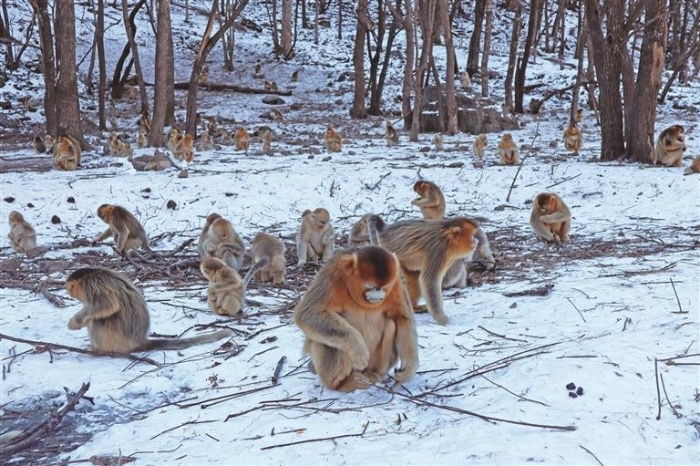 11486278_a77e4bff-5359-46e3-9315-d6abfc626895