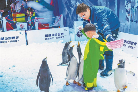 河南要闻26.01.217896