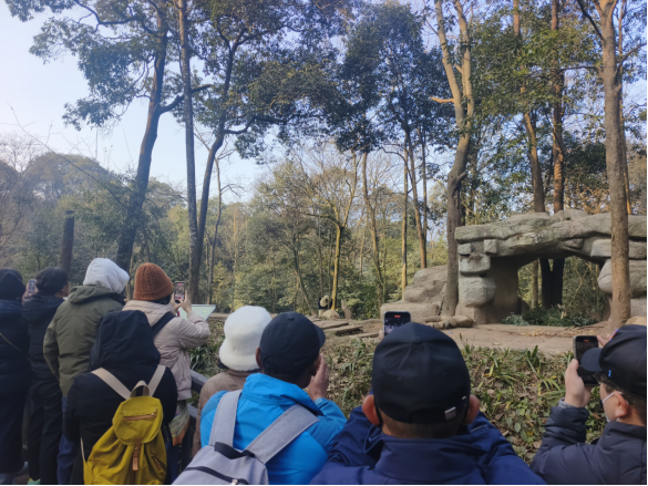 1.2026年台湾青年天府行交流活动圆满举办481