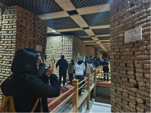 1.2026年台湾青年天府行交流活动圆满举办333