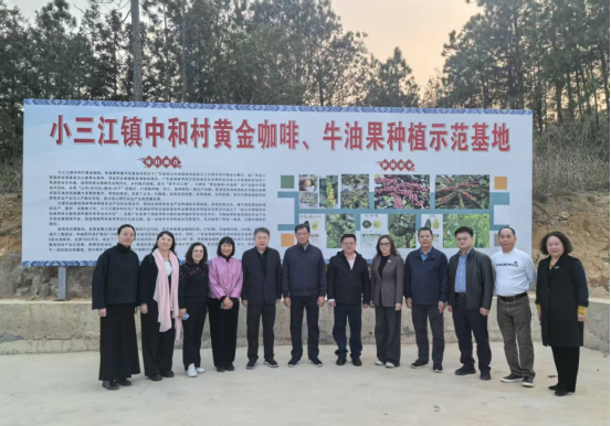 粤台农业合作新探索：聚焦“百千万工程”走进清远“三连”地区913