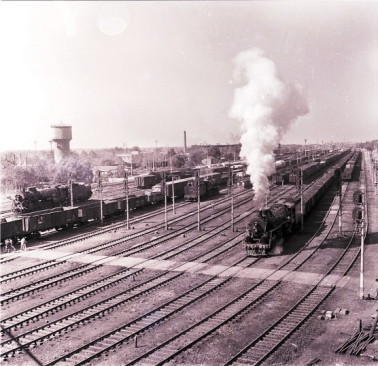 河南要闻26.01.281290 河南要闻26.01.281290