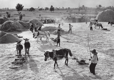 河南要闻26.01.29149 河南要闻26.01.29149