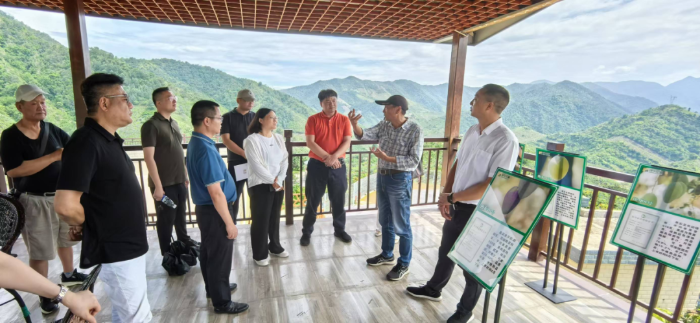 “臺商臺企攀西行”活動